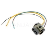 Order BLUE STREAK (HYGRADE MOTOR) - S545 - Connecteur du régulateur de tension For Your Vehicle