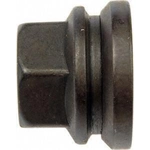 Order DORMAN/AUTOGRADE - 611-196 - Wheel Lug Nut (Pack of 10) For Your Vehicle