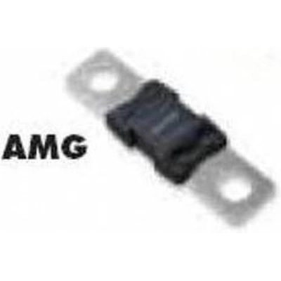 Accessory Fuse by BUSSMANN - AMG100 pa8