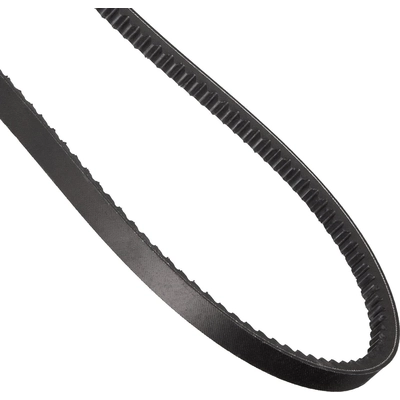 CONTINENTAL - 15556 - V-Groove Serpentine Belt pa2