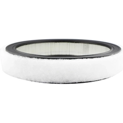 Air Filter by BALDWIN - PA2110 pa1