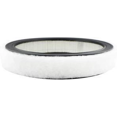 Air Filter by BALDWIN - PA2110 pa2