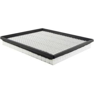 Air Filter by BALDWIN - PA4046 pa2