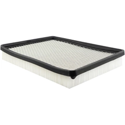 BALDWIN - PA4146 - Air Filter pa1