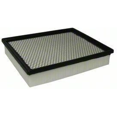 Air Filter by ECOGARD - XA6169 pa1