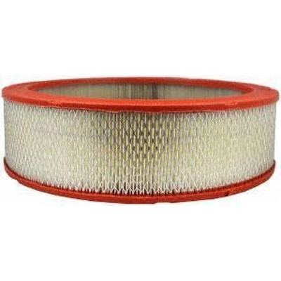 FRAM - CA326 - Air Filter pa1