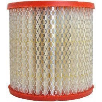 FRAM - CA3902 - Air Filter pa1