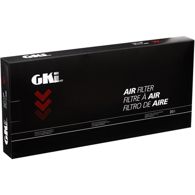 G.K. INDUSTRIES - AF10242 - Engine Air Filter pa2