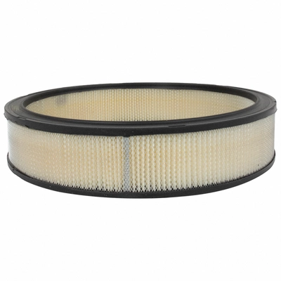 MOTORCRAFT - FA612R - Air Filter pa1