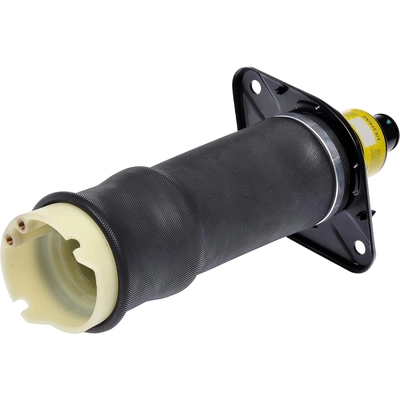 DORMAN (OE SOLUTIONS) - 949-950 - Air Suspension Ressort à air pa2