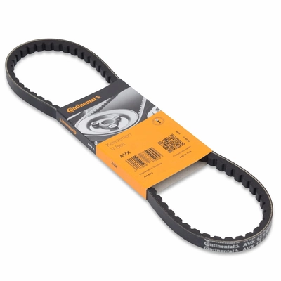 CONTINENTAL - 10X813 - V-Belt pa1