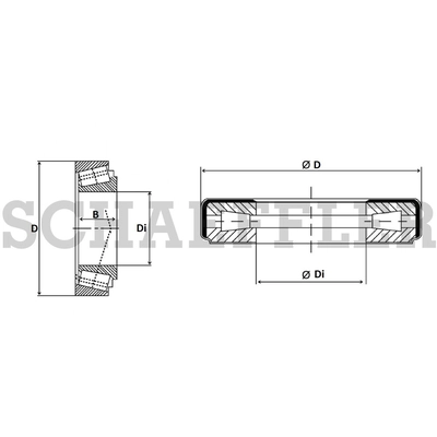 Automatic Transmission Race by SCHAEFFLER - 13621 pa2