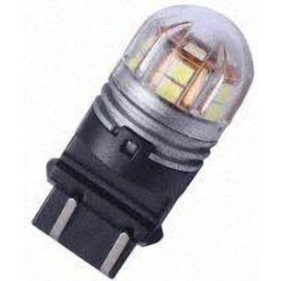 Backup Light by PUTCO LIGHTING - C3157W pa15