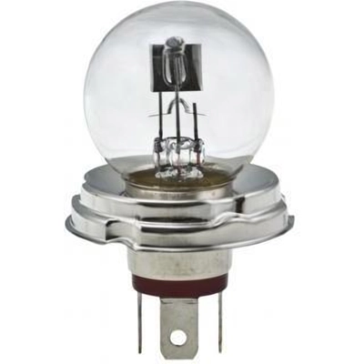 Bulb by HELLA - 7952 pa3