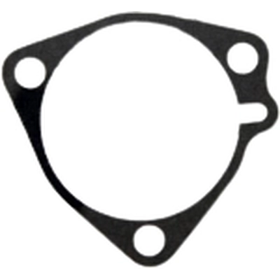 Case Side Cover Gasket by PIONEER - 749116 pa1