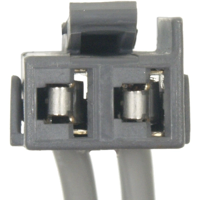 BLUE STREAK (HYGRADE MOTOR) - S960 - Clutch Pedal Position Switch Connector pa1