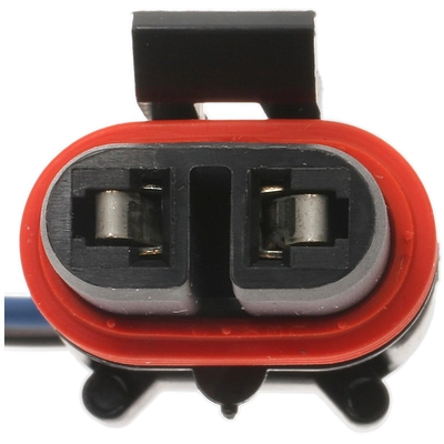 BWD AUTOMOTIVE - PT343 - Fog Light Connector pa1