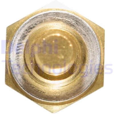 Coolant Temperature Sensor by DELPHI - TS10253 pa1