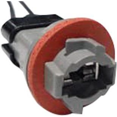 Courtesy Lamp Connector by MOTORCRAFT - WPT964 pa5