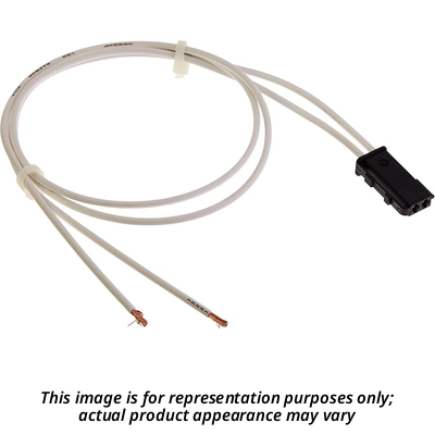 Courtesy Lamp Connector by BWD AUTOMOTIVE - PT2519 2