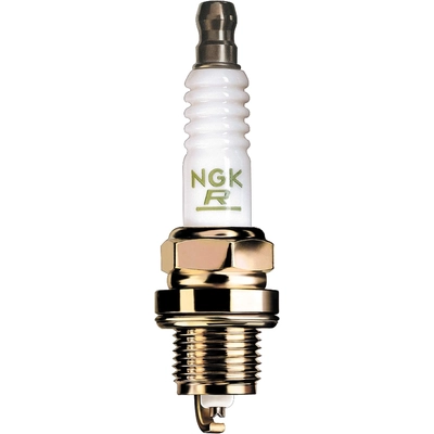 NGK USA - 6876 - Spark Plug pa1