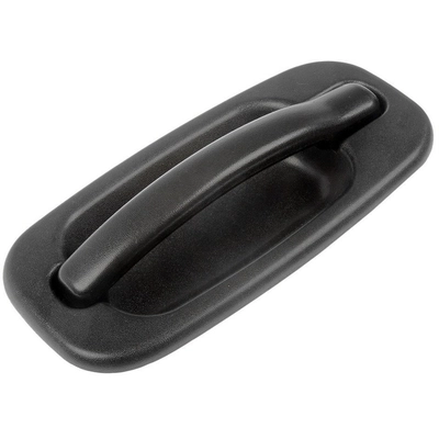 DORMAN - 80579 -  Exterior Door Handle pa1