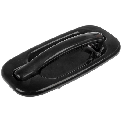 DORMAN - 80599 -  Exterior Door Handle pa1