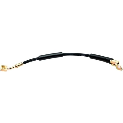 RAYBESTOS - BH38894 - Front Brake Hose pa10