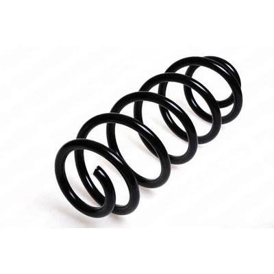 LESJOFORS - 4004218 - Front Coil Spring pa1