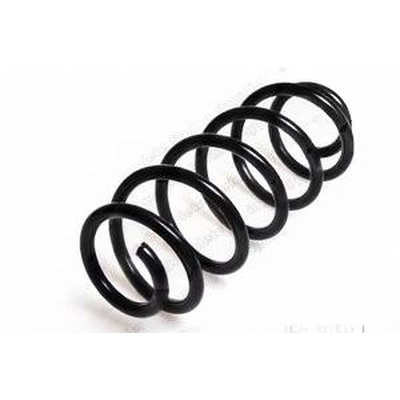 LESJOFORS - 4004236 - Front Coil Spring pa1