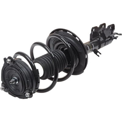 EVOLUTION - V172937 - Complete Shock Absorber Assembly pa1