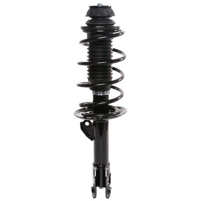 PRT - 810146 - Suspension Strut and Coil Spring Assembly pa2