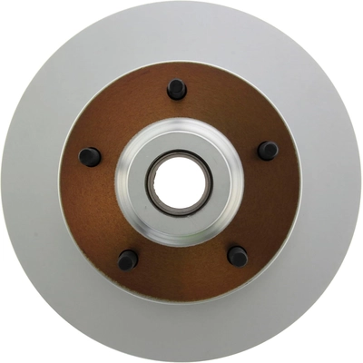 CENTRIC PARTS - 320.67019F - Brake Rotor pa1