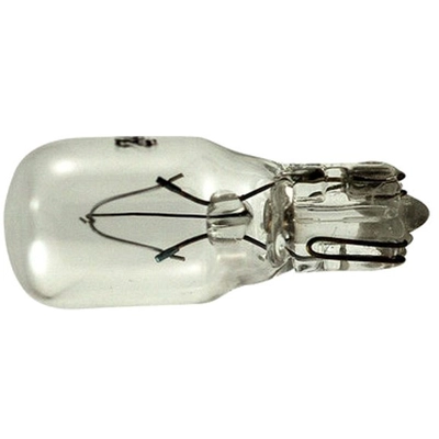 EIKO - 24 - Halogen Bulb pa1