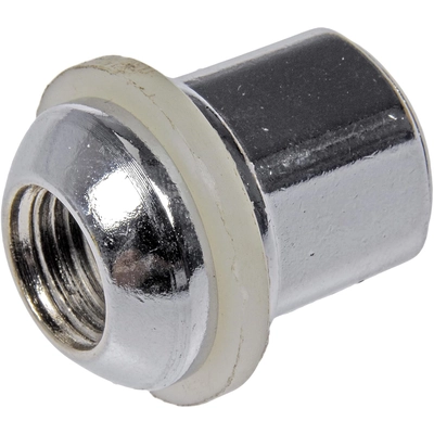 DORMAN - 611-314 - Wheel Lug Nut (Pack of 10) pa1