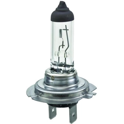 HELLA - H7 24V - Halogen Bulb pa1