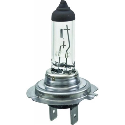 HELLA - H7 - High Beam Headlight pa5