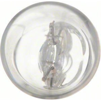 High Beam Indicator (Pack of 10) by PHILIPS - 161CP pa58