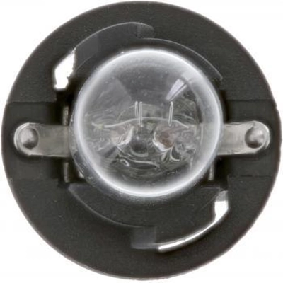 High Beam Indicator (Pack of 10) by PHILIPS - PC161CP pa20