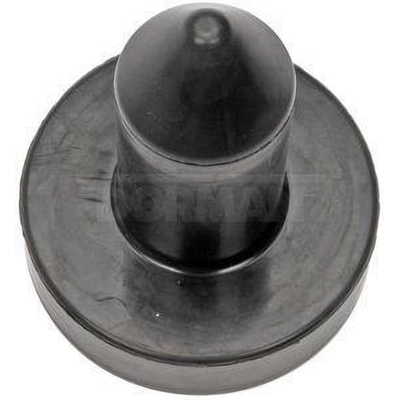 Hood Lock Or Pin by DORMAN (HD SOLUTIONS) - 924-5410 pa3