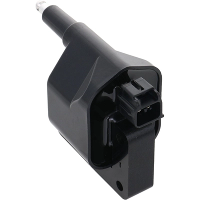 HOLSTEIN - 2IGC0144 - Ignition Coil pa1