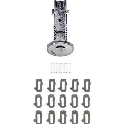 Ignition Lock Cylinder by DORMAN (OE SOLUTIONS) - 924-721 pa2