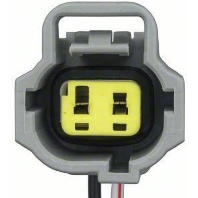 License Lamp Connector by BLUE STREAK (HYGRADE MOTOR) - S816 pa11