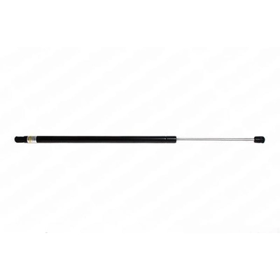 LESJOFORS - 8162062 - Lift Support pa1