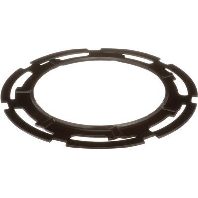 DELPHI - FA10025 - Fuel Tank Lock Ring pa1