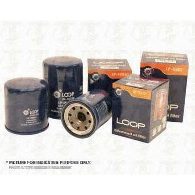 TRANSIT WAREHOUSE - LOP-LP6607 - Oil Filter pa2