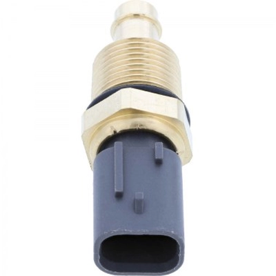 HOLSTEIN - 2CTS0247 - Engine Coolant Temperature Sensor pa1