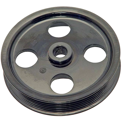 DORMAN - 300-313MX - Power Steering Pump Pulley pa1