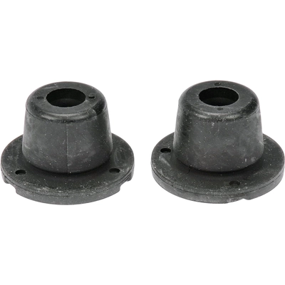 DORMAN - 926-280 - Radiator Mount Bushing pa2