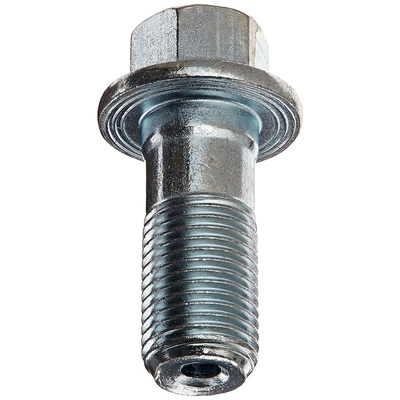 RAYBESTOS - H5381 - Rear Banjo Bolt pa6